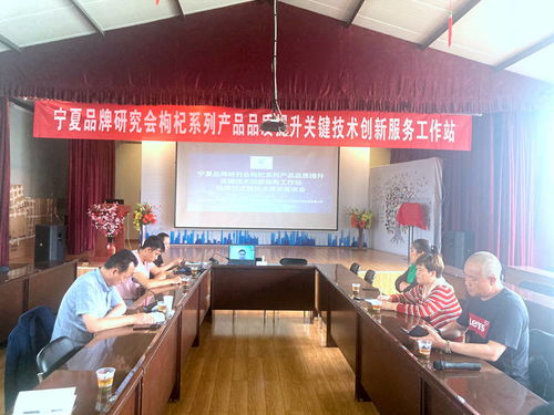 寧夏枸杞產(chǎn)業(yè)迎來技術(shù)革新 品牌研究會(huì)品質(zhì)提升創(chuàng)新服務(wù)工作站掛牌，信息技術(shù)賦能產(chǎn)業(yè)升級(jí)