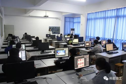 技能點(diǎn)亮未來，服務(wù)鑄就夢(mèng)想——現(xiàn)代服務(wù)系技能競(jìng)賽月活動(dòng)圓滿落幕